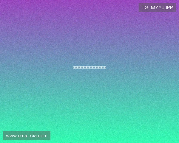 飞燕诺德足球俱乐部发展历程与未来战略全面解析